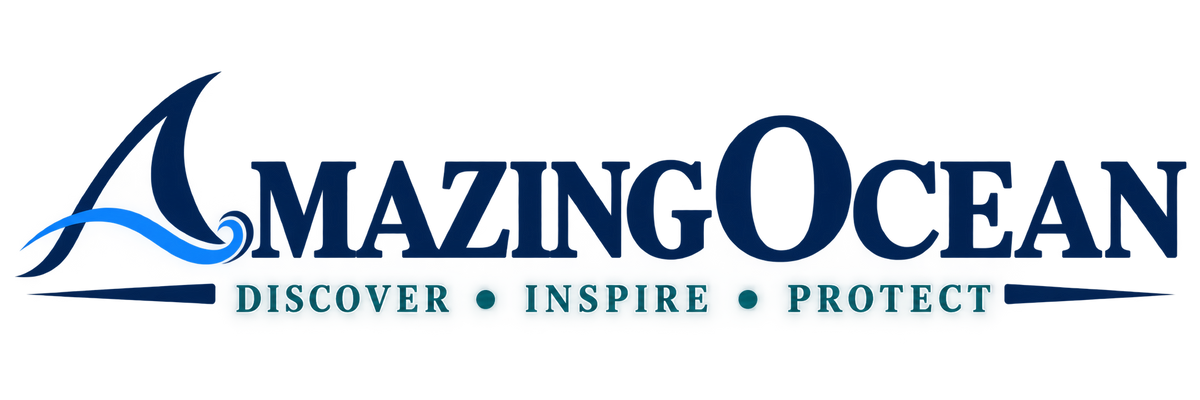Amazing Ocean Shop